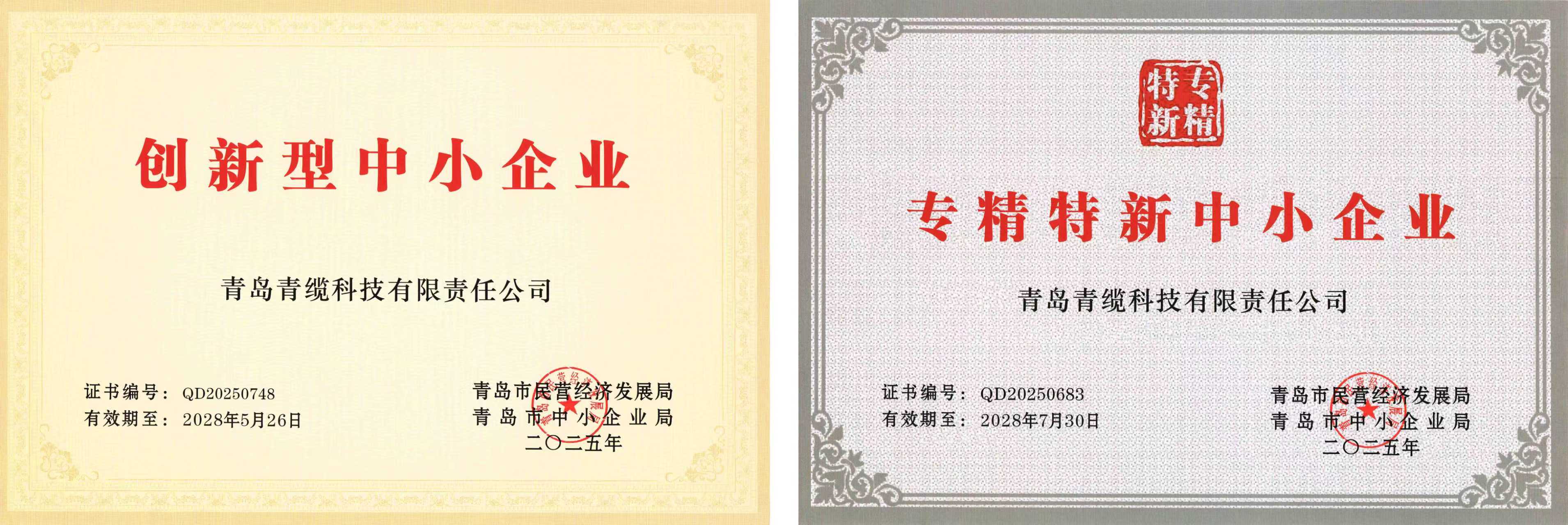 青纜獲評“創(chuàng)新型中小企業(yè)”并順利通過“專精特新中小企業(yè)”復評(圖1)